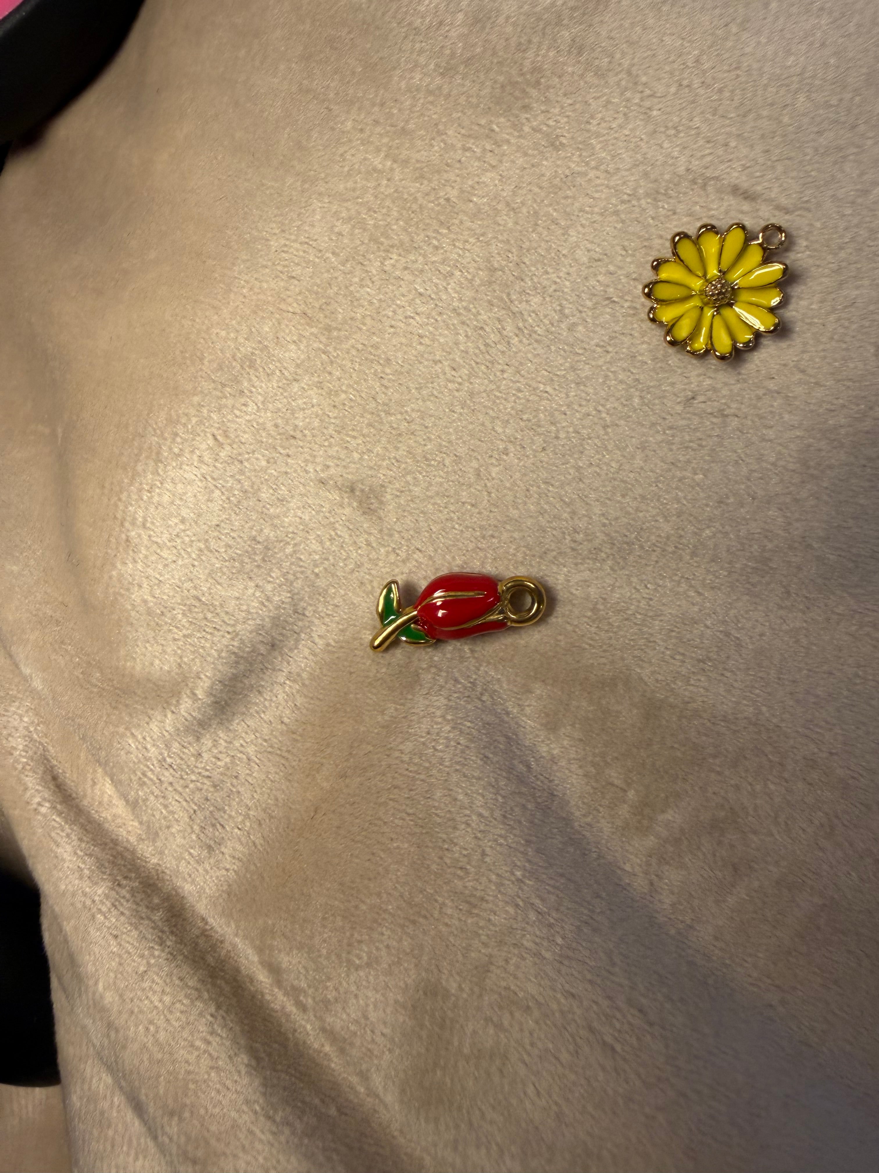 CHARM TULIPANO